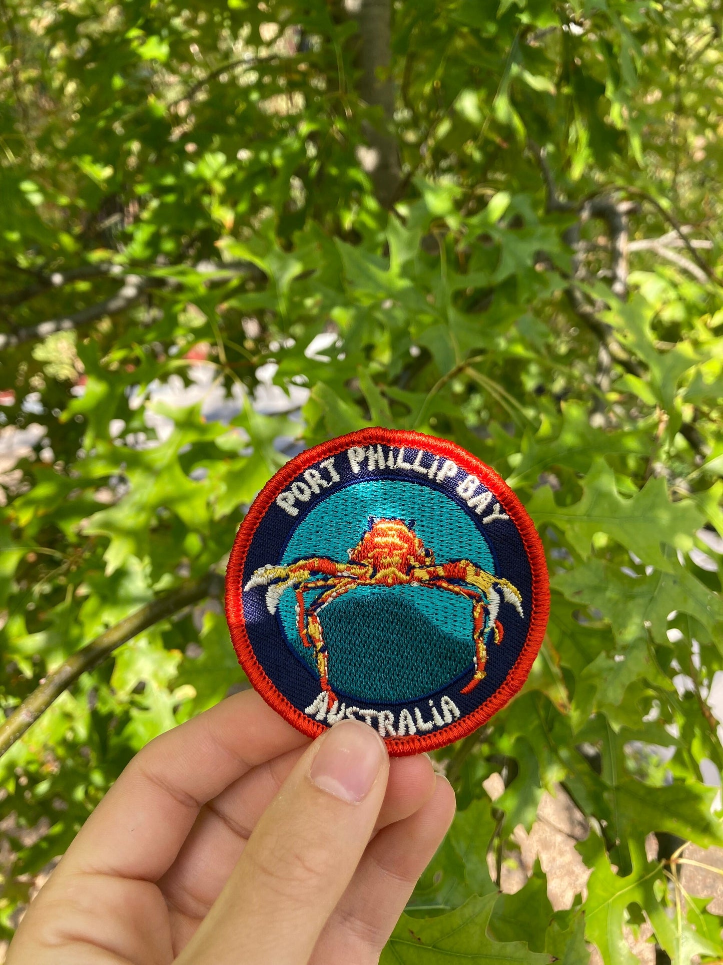 Port Phillip Bay Spider Crab Patch - Colorful Embroidered Souvenir for Divers and Ocean Enthusiasts